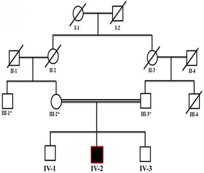 Truncated DNM1 variant underlines developmental delay and epileptic encephalopathy
